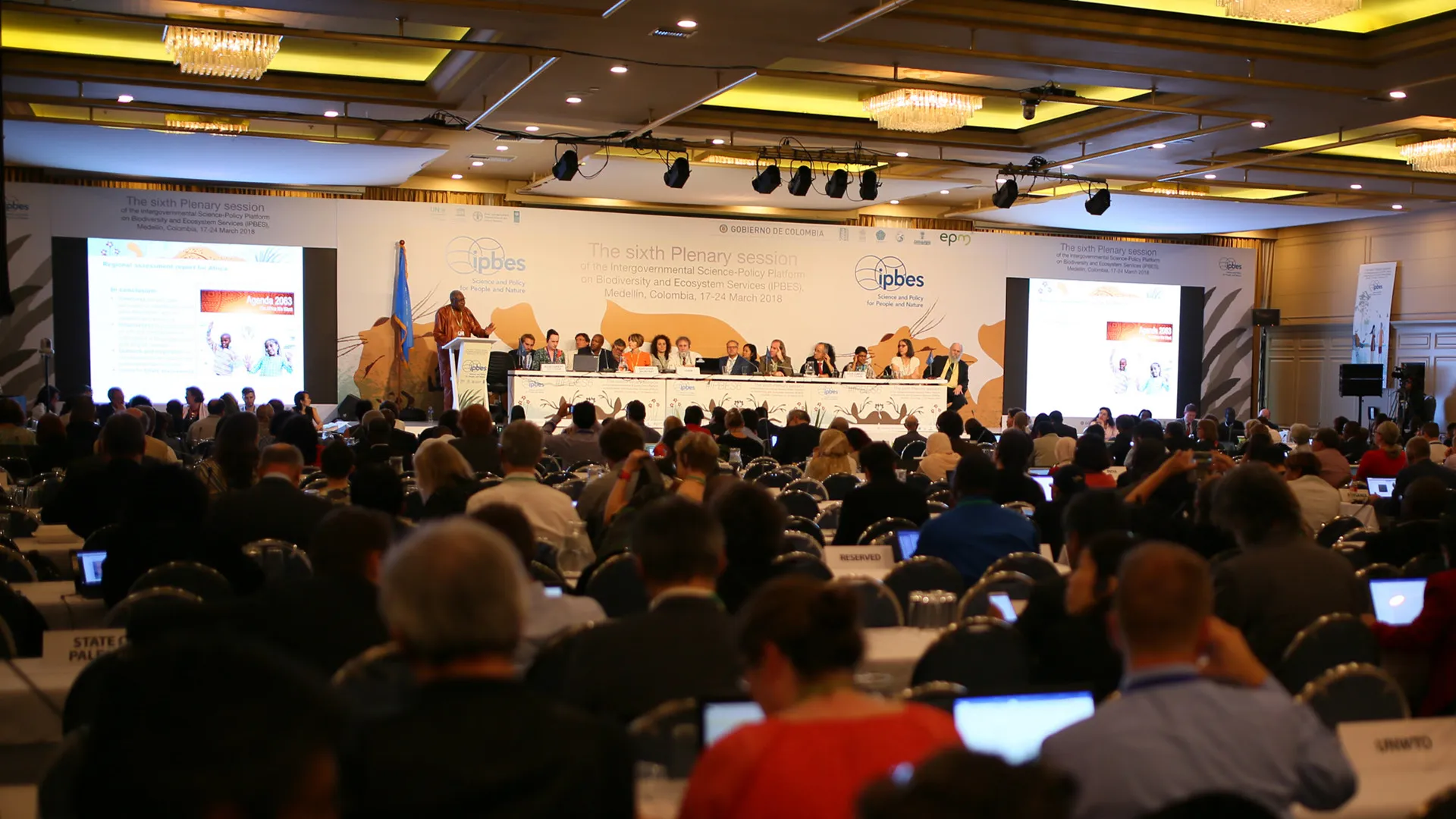Primera Sesión Plenaria de la IPBES e inicio del trabajo con la plataforma 5